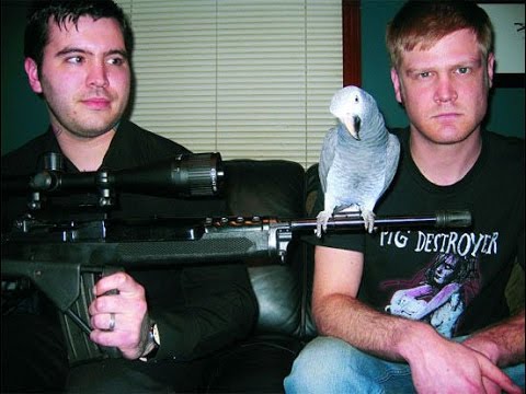 The death metal band hatebeak