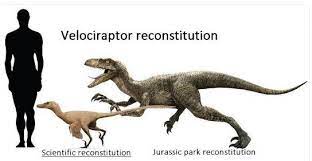 Velociraptor scientific reconstitution