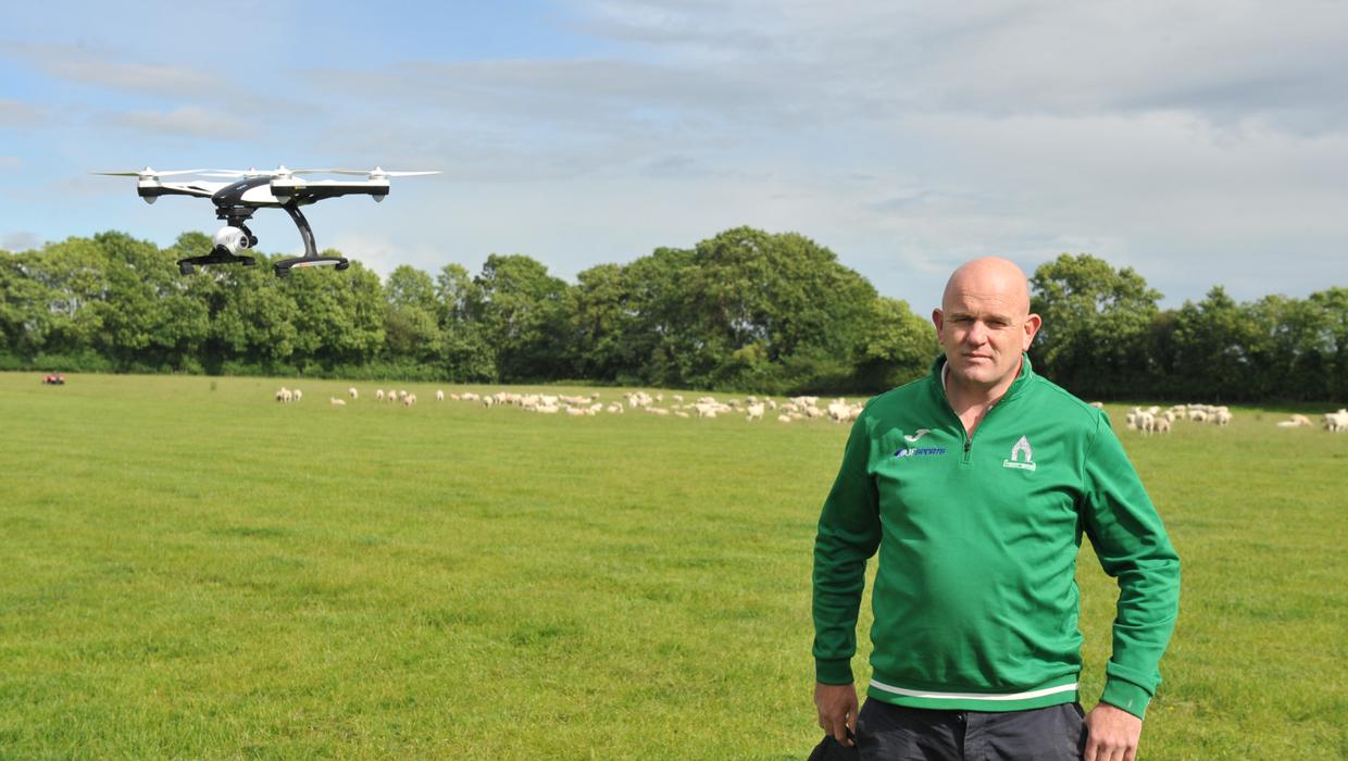 paul brennan sheep herding